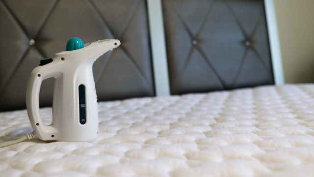 Artboard 1-Nov-21-2024-08-29-05-7858-AM