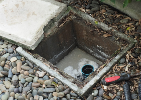drainage drainage