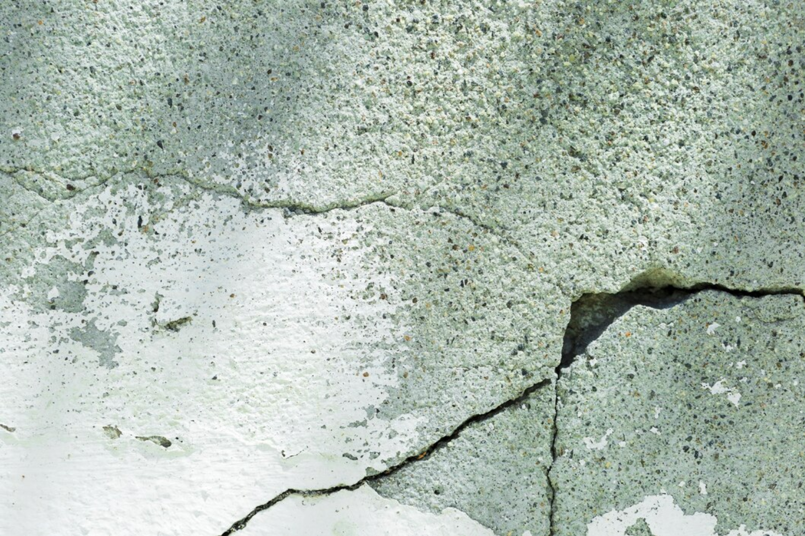 pest-proofing-1 pest-proofing-1