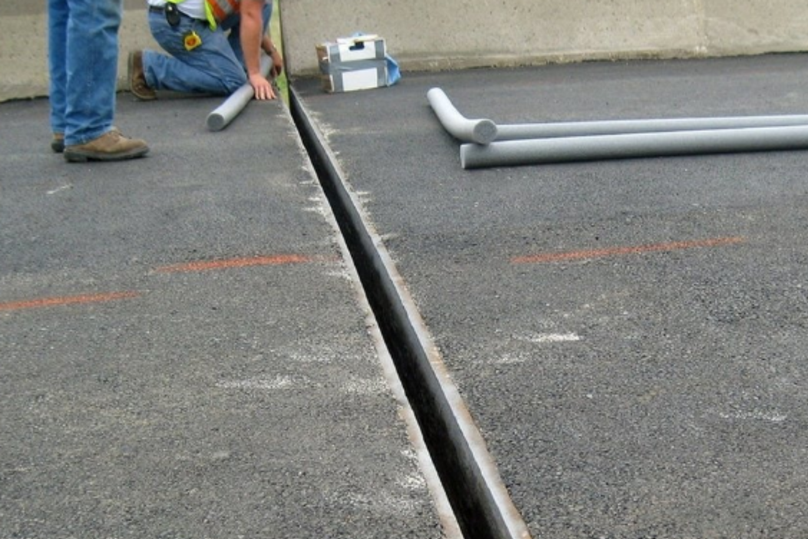 pest-proofing-5